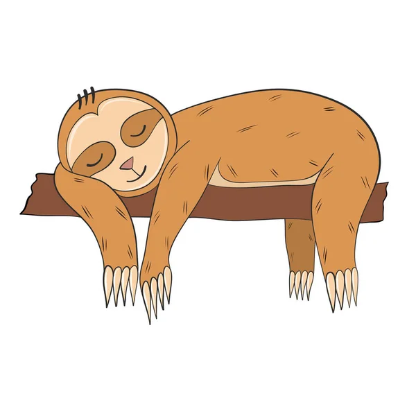 Preguiça Deitado Dormindo Ramo Mão Desenhada — Vetor de Stock