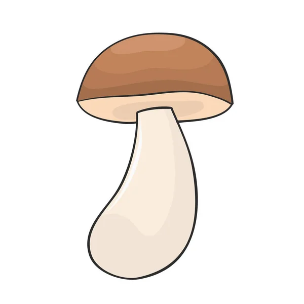 Boletus Jamur Tangan Digambar Untuk Desain - Stok Vektor