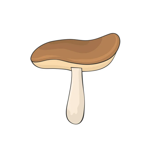 Mushroom Hand Drawn Design — Stock Vector