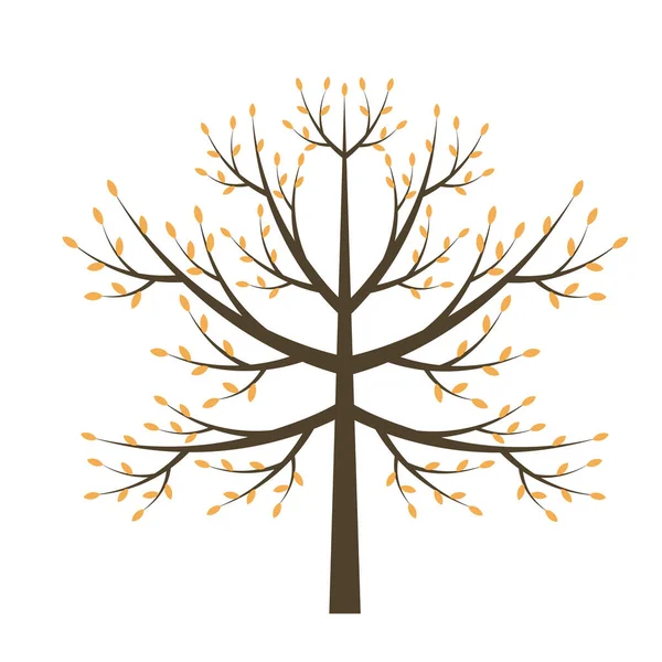 Autumn Orange Tree Vector Illustration Design — Vetor de Stock