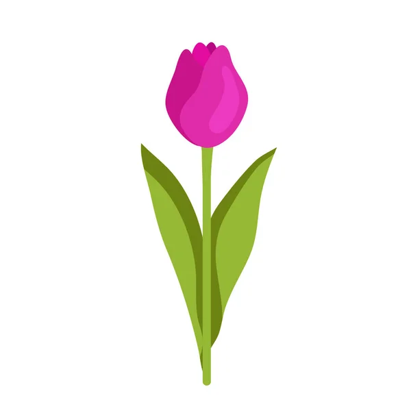 Tulp Bloem Plat Ontwerp Voor Boeket Bloemenkaart — Stockvector