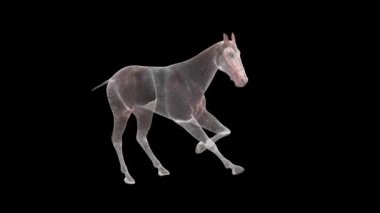 Tel çerçeve at, 3D çizim, illüstrasyon