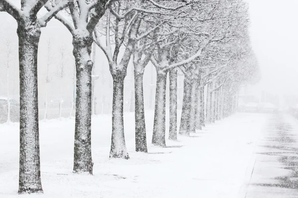 Городская улица зимой — стоковое фото