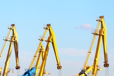 liman içinde Vinçler