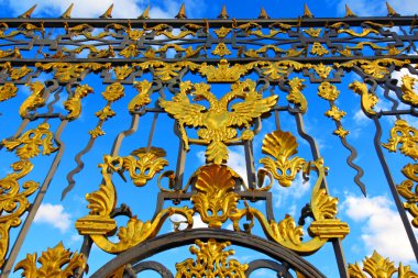 Peterhof. St. petersburg. Rusya