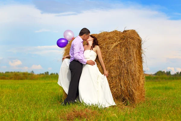 Groom and bride in the field — Stock Photo, Image