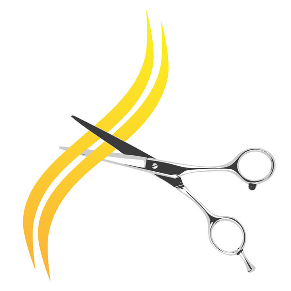 Barber scissors