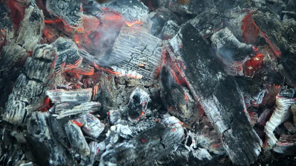 Burning fire wood — Stock Photo, Image