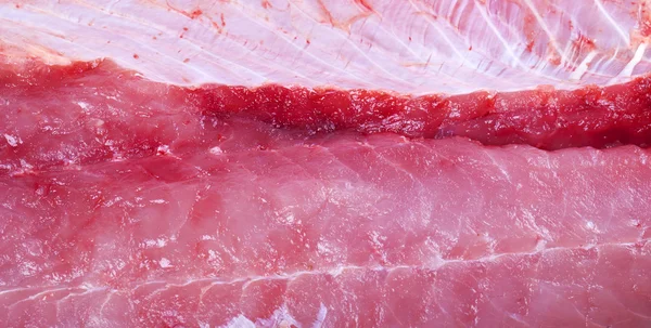 Salmón de carne cruda —  Fotos de Stock