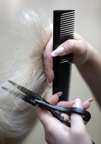 Saç Kesme — Stok fotoğraf