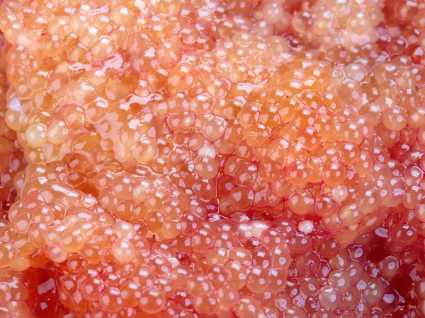 Caviar de lucio —  Fotos de Stock