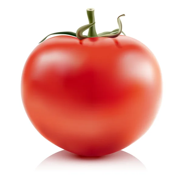 Tomate — Vector de stock