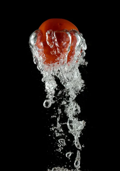 在水中的番茄 — 图库照片
