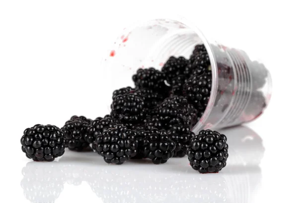 Blackberries — Stock Photo, Image