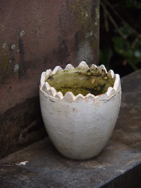 Белая ваза — стоковое фото