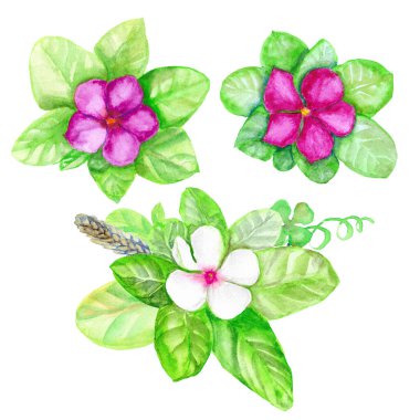 tasarım için suluboya seti, beyaz ve pembe çiçeklerle süsleme