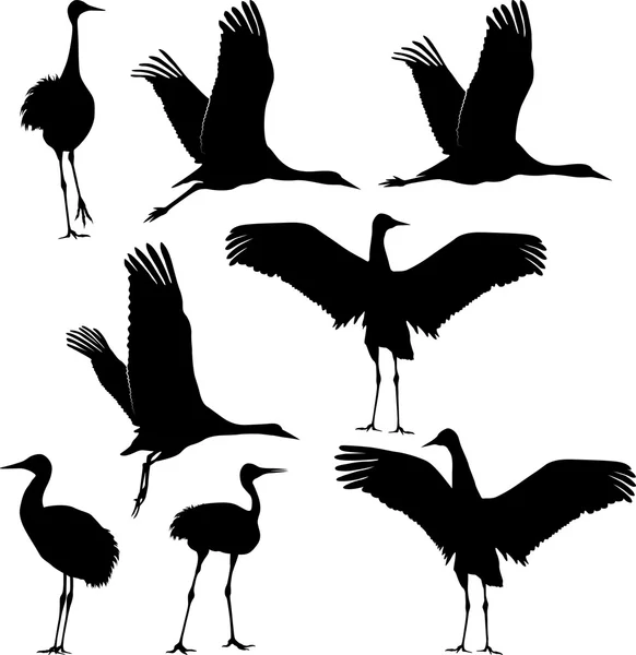 Crane silhouette — Stock Vector