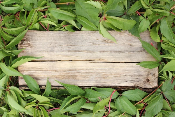 Wooden background — Stock Photo, Image