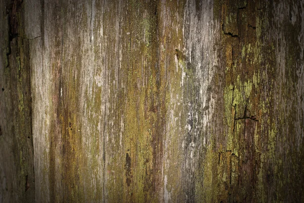 Hölzerner Hintergrund — Stockfoto