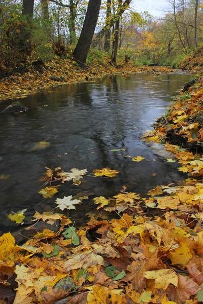 Herfstlandschap — Stockfoto