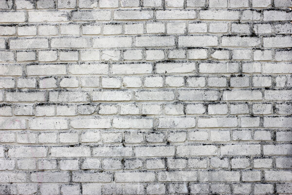 brick wall 