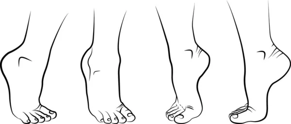 Эскиз Человеческих Ног Векторная Иллюстрация — стоковый вектор