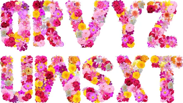 Florale Schrift Mit Bunten Blumen — Stockfoto