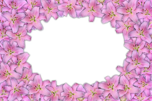 Fundo Floral Com Quadro Lírio Rosa — Fotografia de Stock