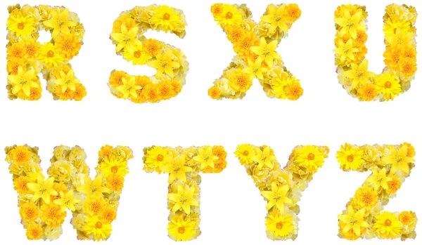 Lettertype Met Gele Bloemen — Stockfoto
