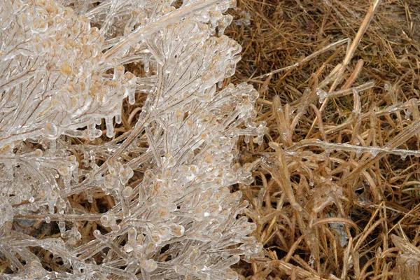 Nahaufnahme Gefrorener Eiszapfen Auf Trockenem Wintergras — Stockfoto