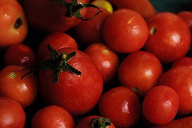 Yatay pankartta bahçeden olgun kırmızı domatesler..