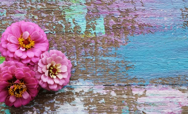 Pinke Zinnien Auf Künstlerischem Lack Und Holzgrund Kopierfläche Für Urlaubstexte — Stockfoto