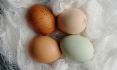 Farm fresh eggs on white cheesecloth texture background