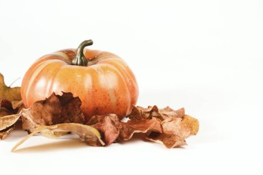 Beyaz arkaplanda kuru yaprakları olan sonbahar balkabağı 