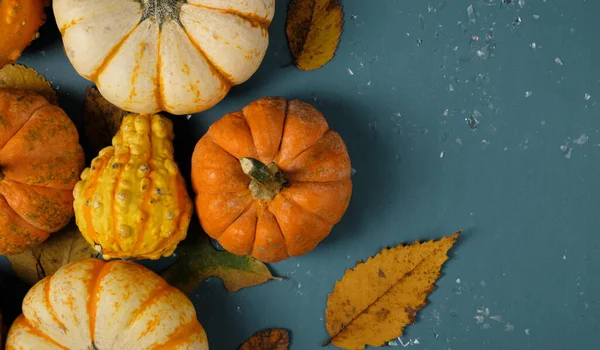 Herbst Hintergrund Mit Kürbissen Und Blättern Ansicht Von Oben — Stockfoto
