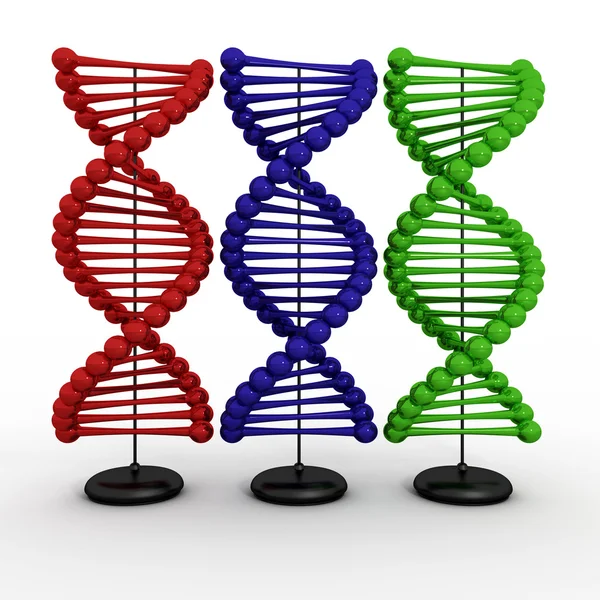 Biología del ADN Imagen De Stock