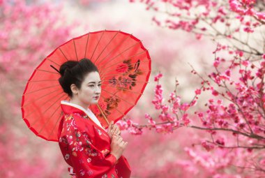 Geisha with umbrella on a flowering tree branches background