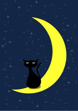Kara kedi ve hilal ay