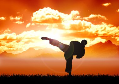 Karate training