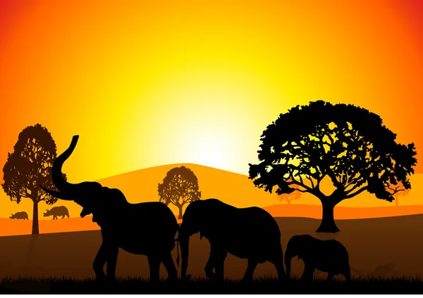 Słonie w safari — Wektor stockowy