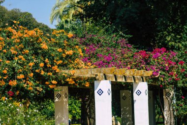 Seville İspanya 28 Eylül 2021 Maria Luisa Parkı, Endülüs Bölgesi 'nin başkenti ve sembolik şehri Sevilla' nın ilk yeşil akciğerlerinden biridir.