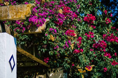 Seville İspanya 28 Eylül 2021 Maria Luisa Parkı, Endülüs Bölgesi 'nin başkenti ve sembolik şehri Sevilla' nın ilk yeşil akciğerlerinden biridir.