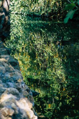 Seville İspanya 28 Eylül 2021 Maria Luisa Parkı, Endülüs Bölgesi 'nin başkenti ve sembolik şehri Sevilla' nın ilk yeşil akciğerlerinden biridir.