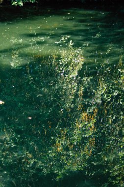 Seville İspanya 28 Eylül 2021 Maria Luisa Parkı, Endülüs Bölgesi 'nin başkenti ve sembolik şehri Sevilla' nın ilk yeşil akciğerlerinden biridir.