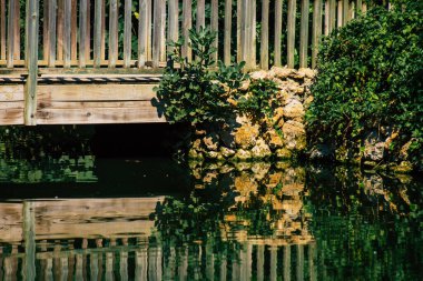 Seville İspanya 28 Eylül 2021 Maria Luisa Parkı, Endülüs Bölgesi 'nin başkenti ve sembolik şehri Sevilla' nın ilk yeşil akciğerlerinden biridir.