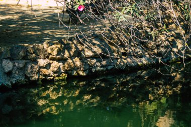 Seville İspanya 28 Eylül 2021 Maria Luisa Parkı, Endülüs Bölgesi 'nin başkenti ve sembolik şehri Sevilla' nın ilk yeşil akciğerlerinden biridir.