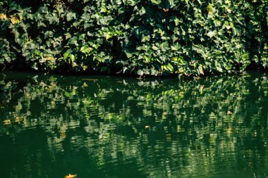 Seville İspanya 28 Eylül 2021 Maria Luisa Parkı, Endülüs Bölgesi 'nin başkenti ve sembolik şehri Sevilla' nın ilk yeşil akciğerlerinden biridir.