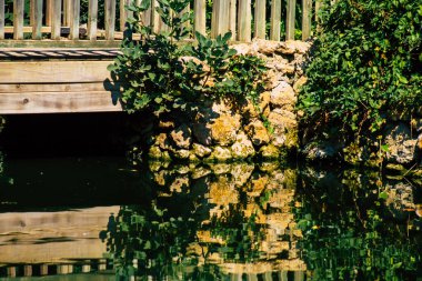 Seville İspanya 28 Eylül 2021 Maria Luisa Parkı, Endülüs Bölgesi 'nin başkenti ve sembolik şehri Sevilla' nın ilk yeşil akciğerlerinden biridir.