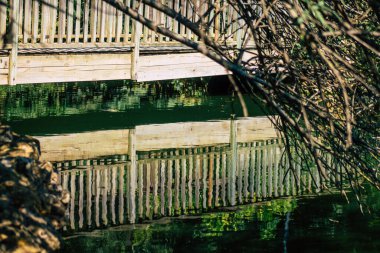 Seville İspanya 28 Eylül 2021 Maria Luisa Parkı, Endülüs Bölgesi 'nin başkenti ve sembolik şehri Sevilla' nın ilk yeşil akciğerlerinden biridir.