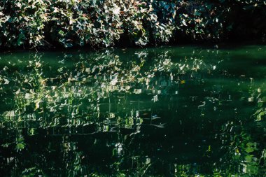 Seville İspanya 28 Eylül 2021 Maria Luisa Parkı, Endülüs Bölgesi 'nin başkenti ve sembolik şehri Sevilla' nın ilk yeşil akciğerlerinden biridir.